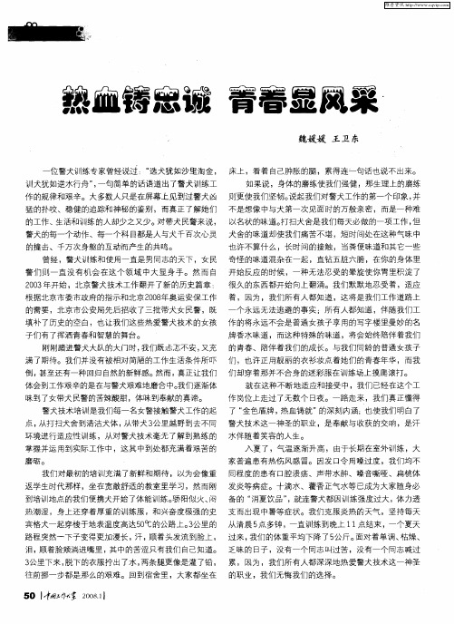 热血铸忠诚 青春显风采