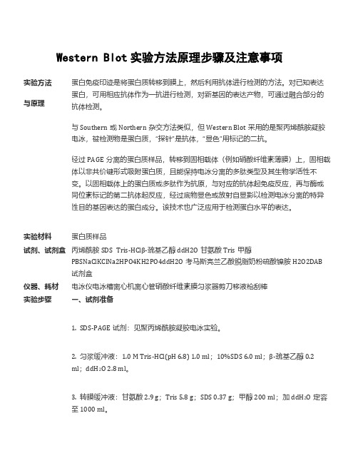 Western Blot实验方法原理步骤及注意事项
