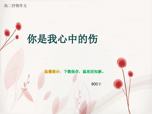 高二抒情作文《你是我心中的伤》800字