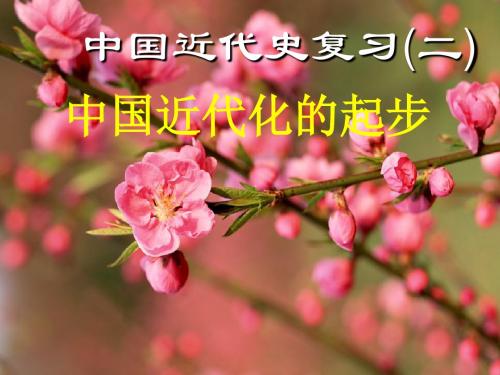 中国近代史复习课件(7课时  192班)