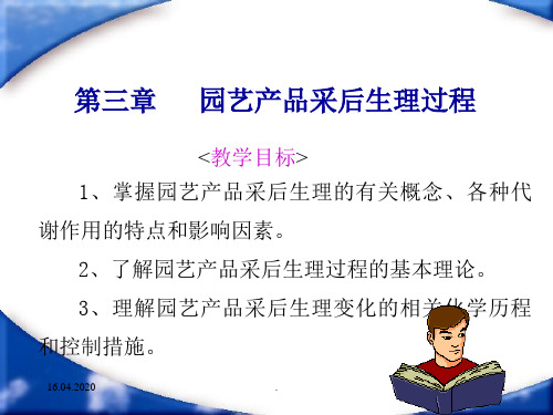 园艺产品采后生理过程ppt课件