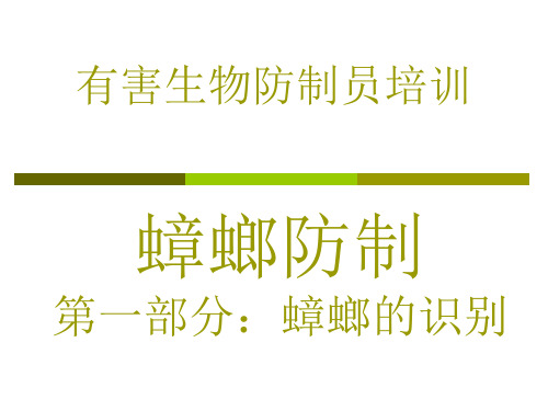 有害生物防制员蟑螂防治之蟑螂的识别专题培训课件