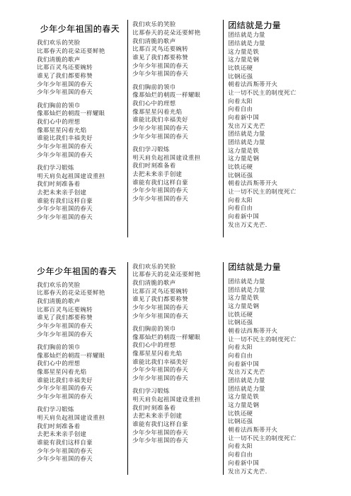 团结就是力量 歌词