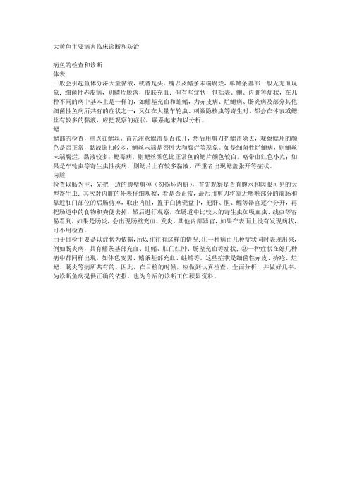大黄鱼主要病害临床诊断和防治