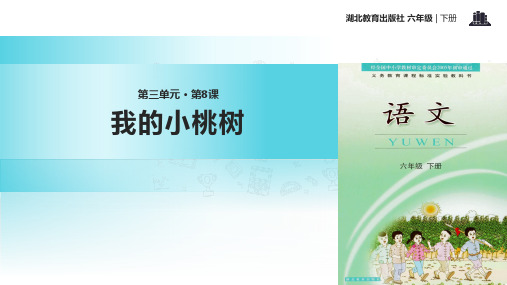 六年级下册语文课件8我的小桃树｜鄂教版 (共12张PPT)