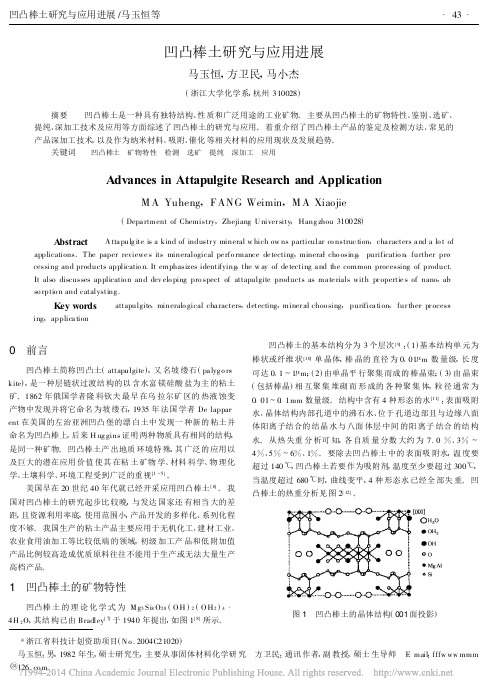 凹凸棒土研究与应用进展_马玉恒