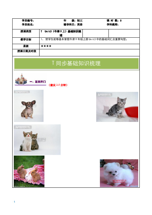 上海牛津版英语初三九年级上册九上9AUnit3U3同步讲义教案