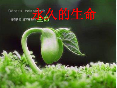 人教部编版【八上】语文散文二篇之一《永久的生命》ppt课件22页