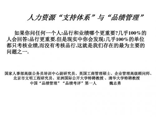 魏志勇人力支持体系和品绩管理图表