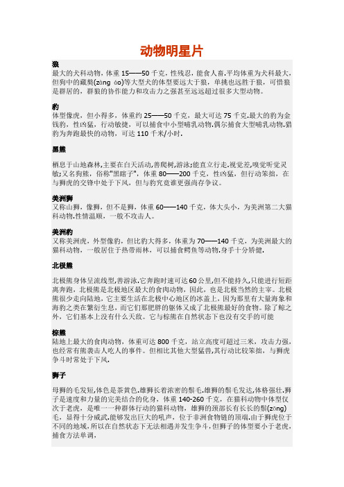 十大动物明星