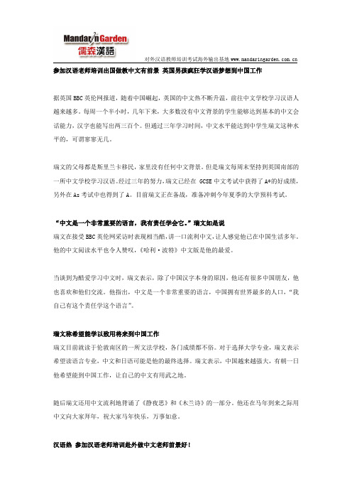 参加汉语老师培训出国做教中文有前景 英国男孩疯狂学汉语梦想到中国工作