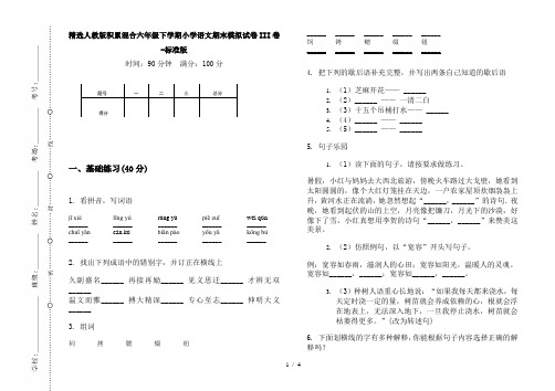 精选人教版积累混合六年级下学期小学语文期末模拟试卷III卷-标准版