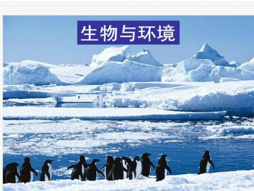教科版五年级上册科学第一单元1.1种子发芽试验(一)