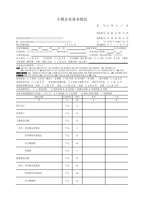 小微企业基本情况表