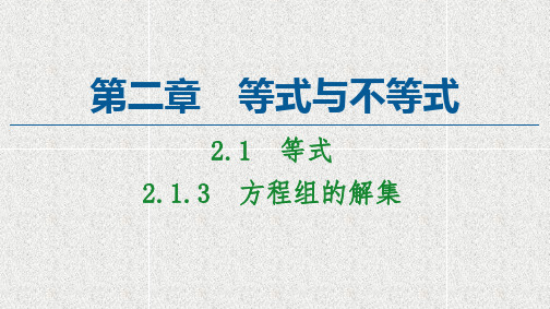 2020-2021学年新教材人教B版必修第一册     213方程组的解集    课件(49张)