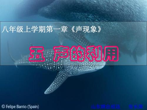 初中物理2.5声的利用