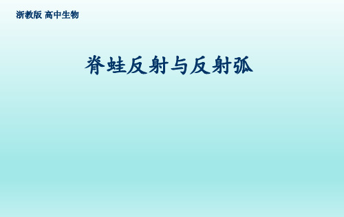 脊蛙反射与反射弧分析实验说课
