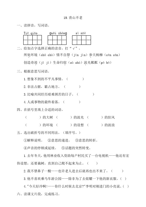 部编人教版小学语文六年级上册19《青山不老》同步练习试题(附答案)