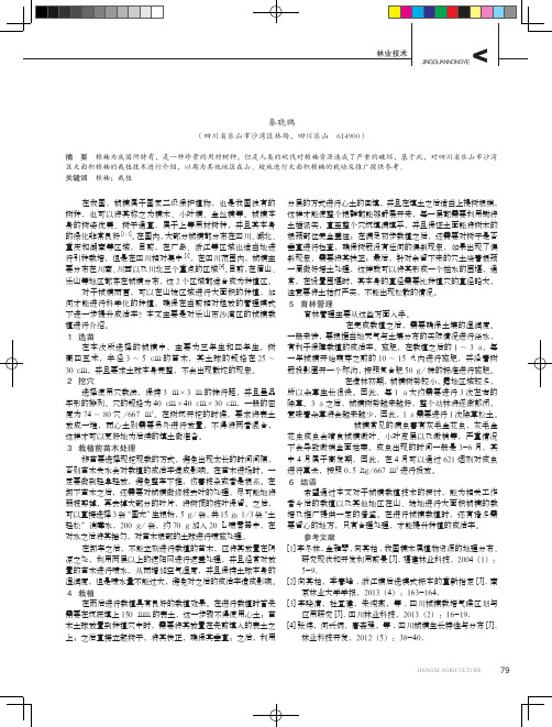 桢楠栽植技术
