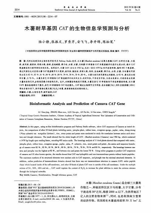 木薯耐旱基因CAT的生物信息学预测与分析