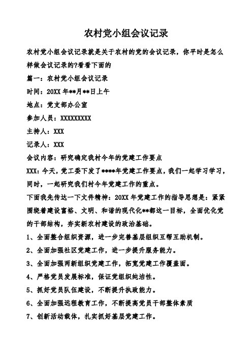 农村党小组会议记录