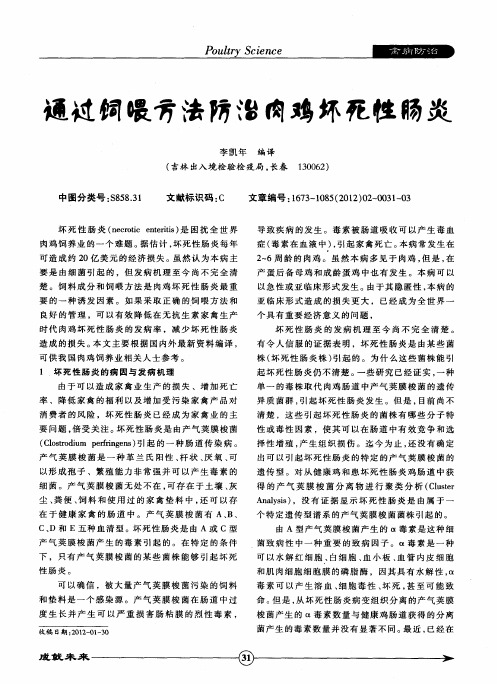 通过饲喂方法防治肉鸡坏死性肠炎