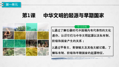 人教版历史必修上第1课 中华文明的起源与早期国家