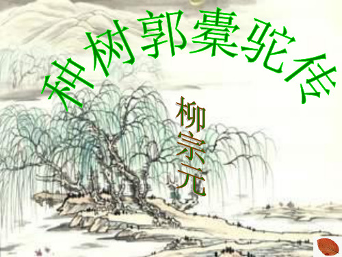 高一语文种树郭橐驼传课件 人教版