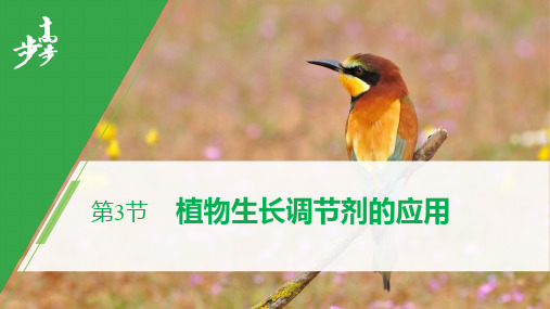 高中生物人教版选择性必修一第5章 第3节 植物生长调节剂的应用