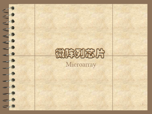 微阵列芯片