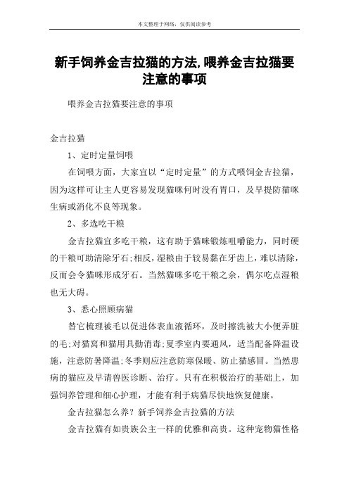 新手饲养金吉拉猫的方法,喂养金吉拉猫要注意的事项