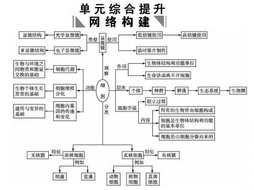 高考2011生物一轮复习课件：走近细胞ppt 人教课标版