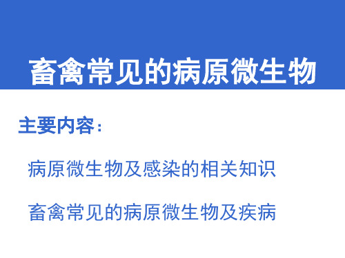 畜禽常见的病原微生物精品PPT课件