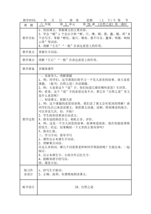 23 自然之道