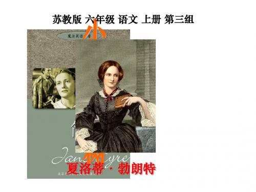 9小草和大树PPT课件