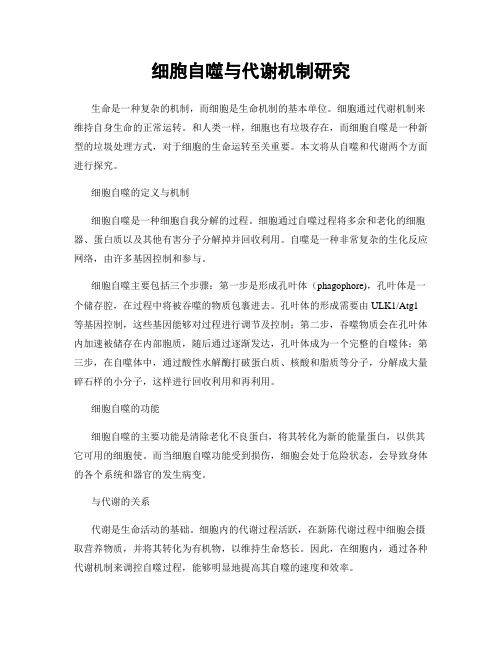 细胞自噬与代谢机制研究