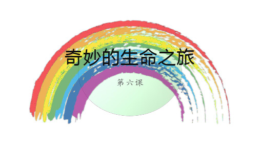 奇妙的生命之旅(课件)卫生与健康教育