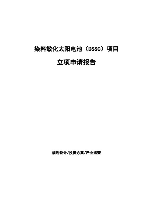 染料敏化太阳电池(DSSC)项目立项申请报告