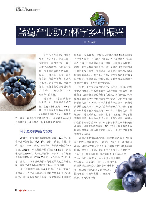 蓝莓产业助力怀宁乡村振兴