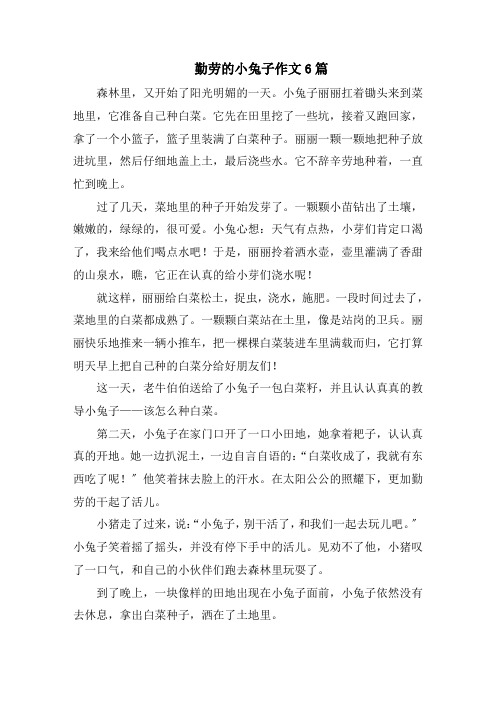 勤劳的小兔子作文6篇精选