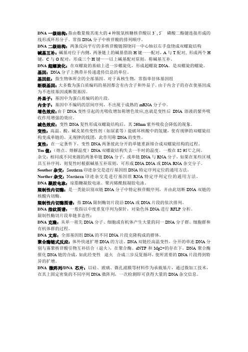 生物化学名词解释——核酸