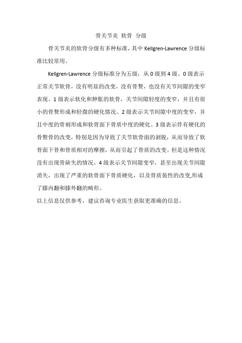 骨关节炎 软骨 分级
