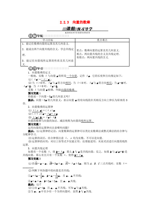高中数学 2.2.3 向量的数乘导学案 苏教版必修4-苏教版高一必修4数学学案