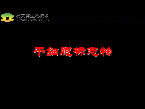 干细胞标志物
