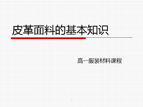 皮革面料的基本知识ppt课件