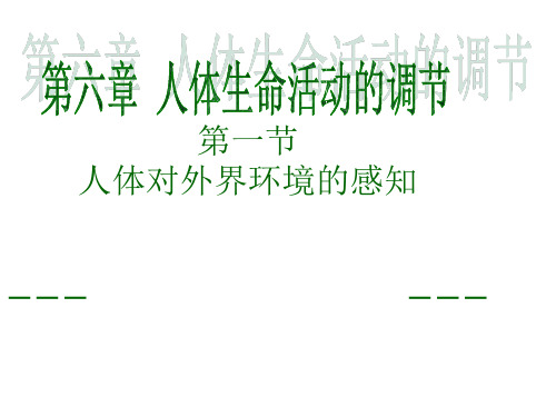 鲁科版(五四学制)生物七年级下册 4.1.1人体对外界环境的感知 课件