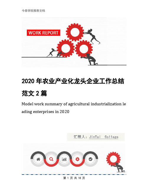 2020年农业产业化龙头企业工作总结范文2篇