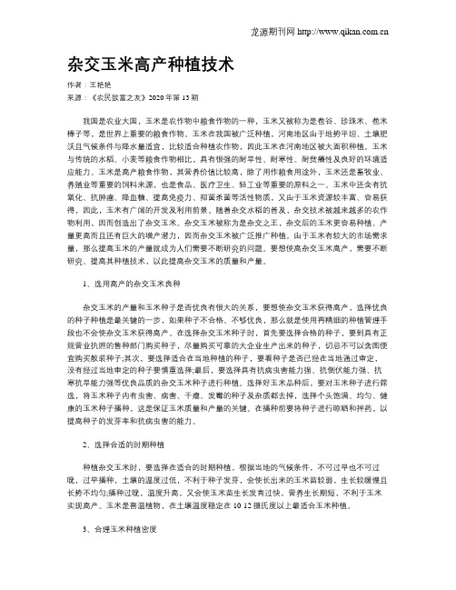 杂交玉米高产种植技术
