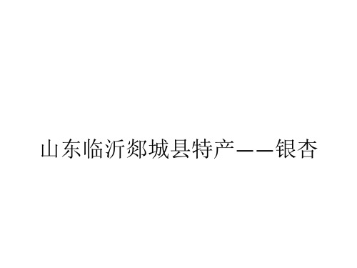 山东临沂郯城县特产——银杏