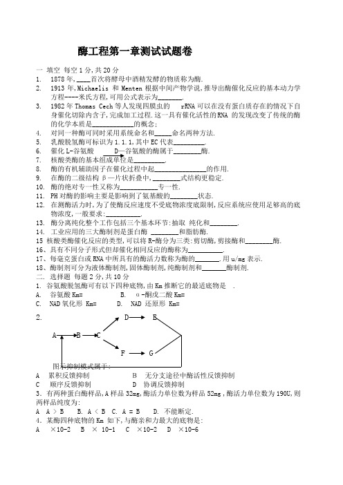 酶工程各章试题